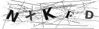 Please refresh your browser to see this image.